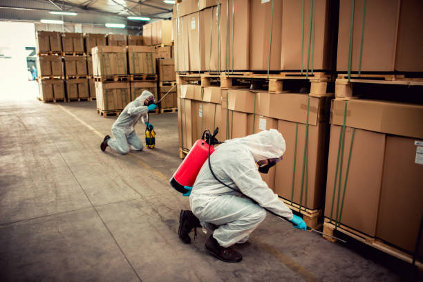 Best Best Pest Control Companies  in Salunga, PA