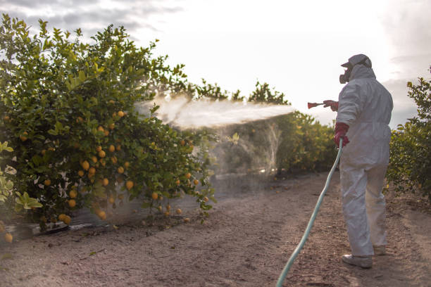 Best Commercial Pest Control Services  in Salunga, PA
