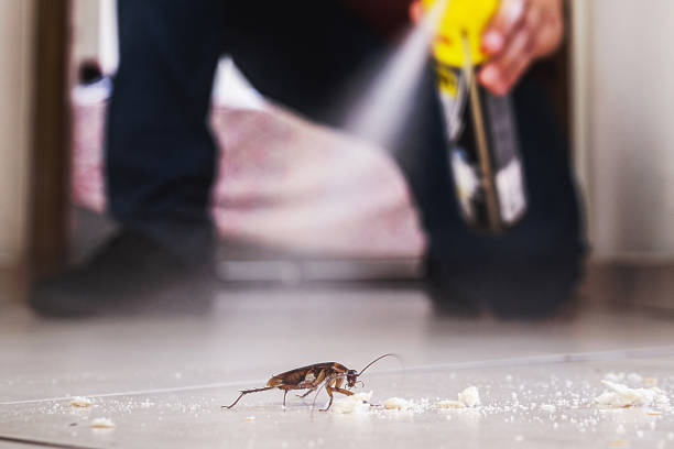 Best Pest Removal Services  in Salunga, PA