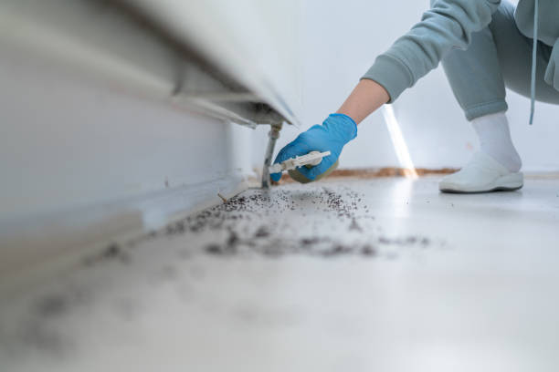 Best Termite Control Services  in Salunga, PA
